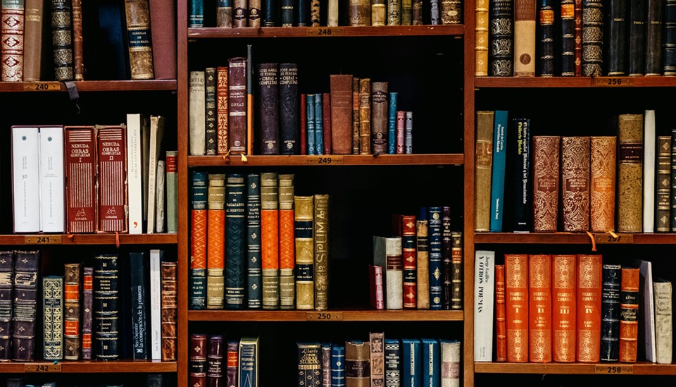 Shelves full of books inside Book Haven Bookstore